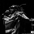 20191202 Skindred 04 bs TheaDrexhage