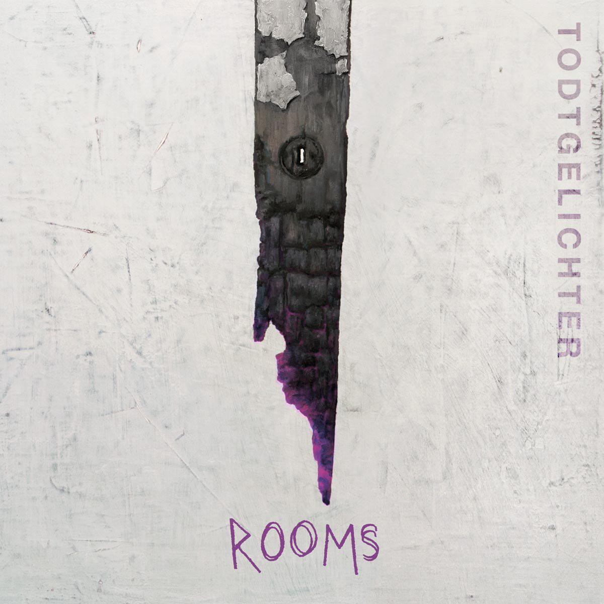 Todtgelichter: Rooms (2016) Book Cover