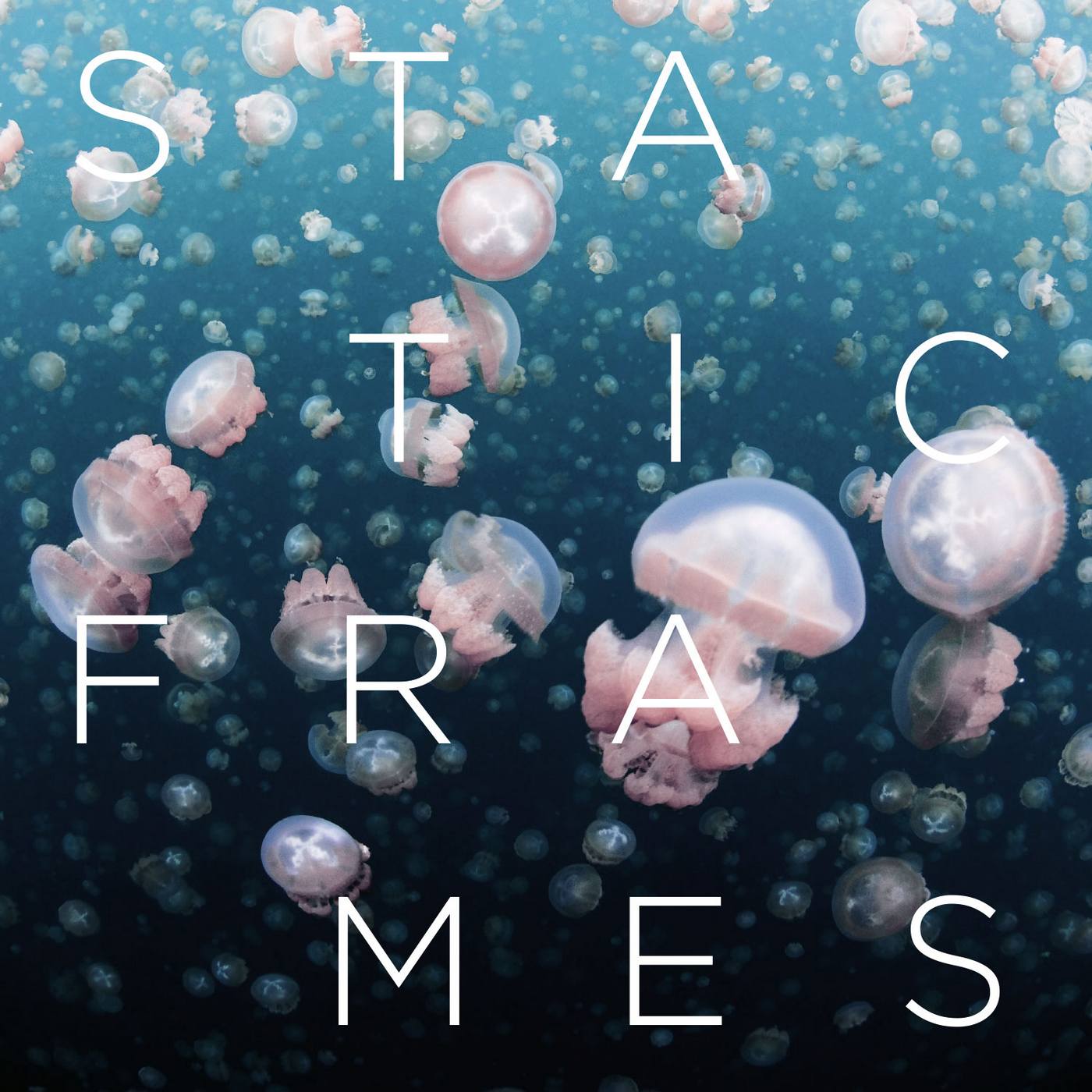 Static Frames: Static Frames (2016) Book Cover