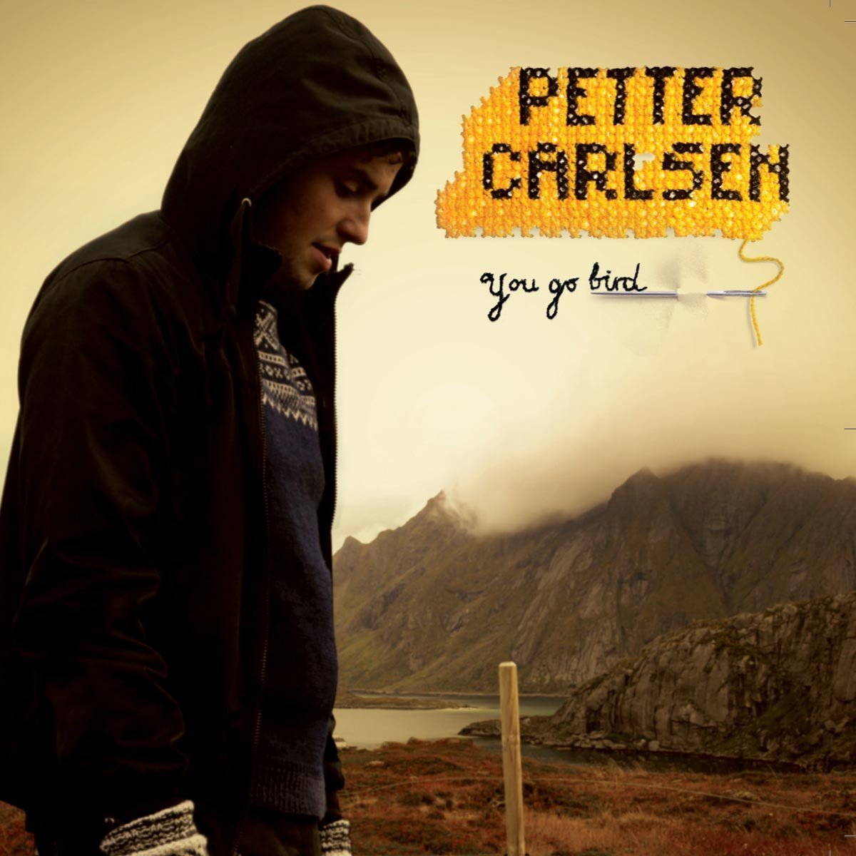 Petter Carlsen: You Go Bird (2016) Book Cover