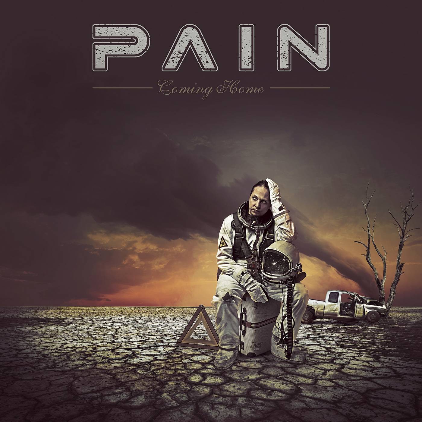 Pain: Coming Home (2016) Book Cover