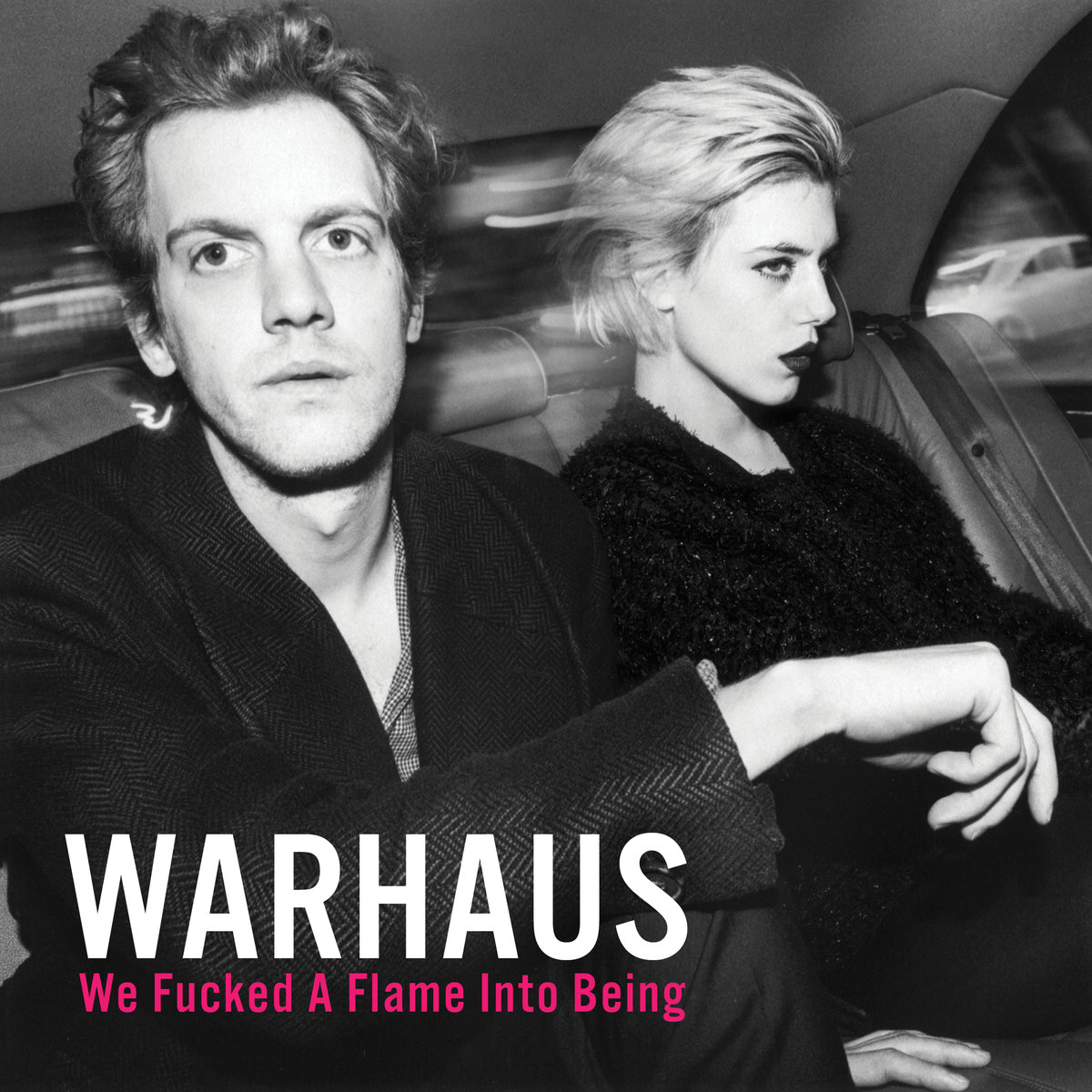 Warhaus: We Fucked a Flame Into Being (2016) Book Cover