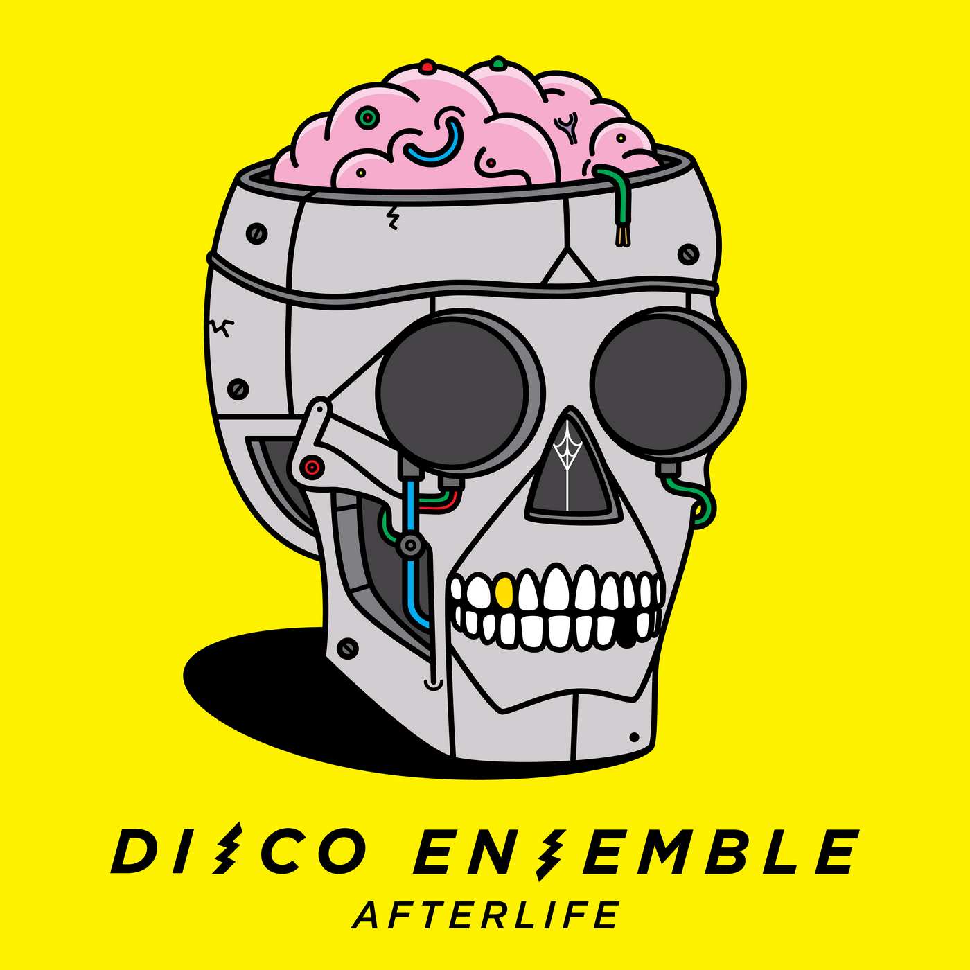 Disco Ensemble: Afterlife (2017) Book Cover