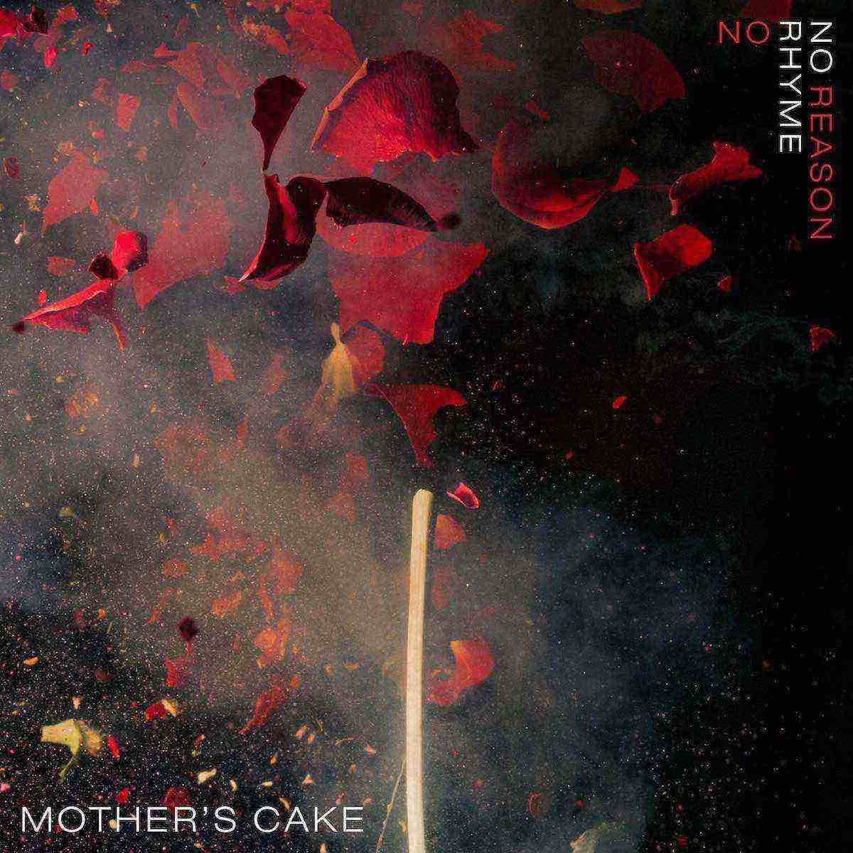 Mother's Cake: No Rhyme No Reason Book Cover